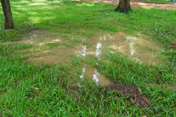 Cost of Storm Water Drainage Service in Tarpon Springs