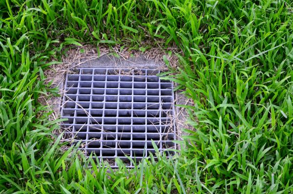 Cost of Yard Water Drainage in Tarpon Springs