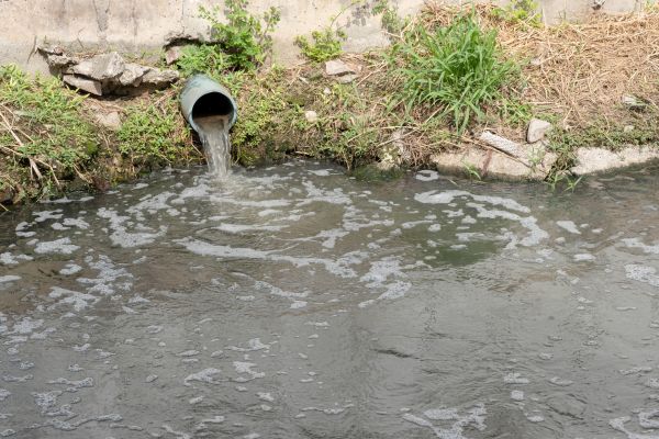 Cost of Water Runoff Control in Tarpon Springs