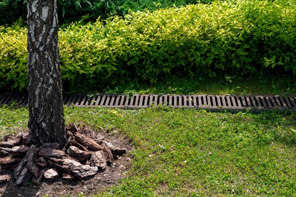 Cost of Yard Water Redirection in Tarpon Springs