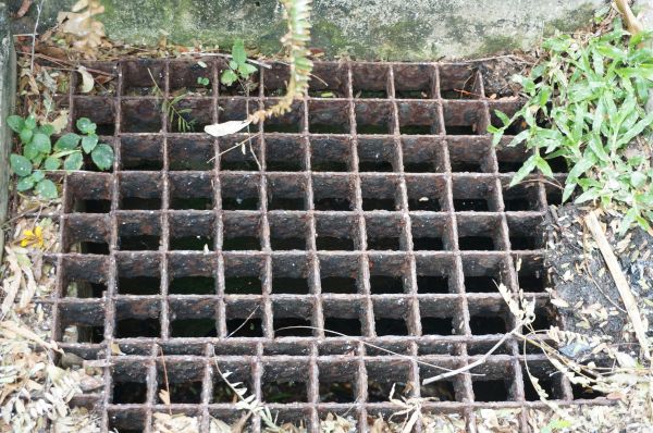 Cost of Yard Drain Cleaning in Tarpon Springs