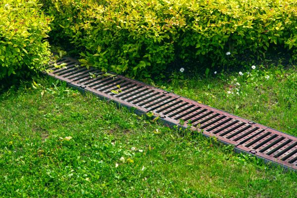 Cost of Yard Drainage Installation in Tarpon Springs