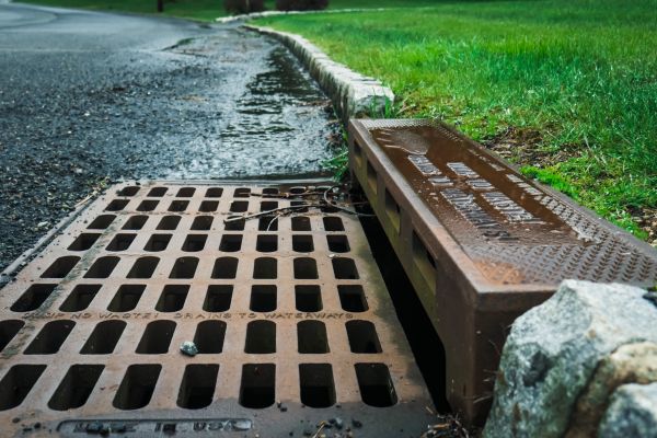 Cost of Storm Drain Maintenance in Tarpon Springs