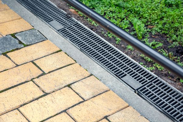 Cost of Waterlogged Yard Repair in Tarpon Springs