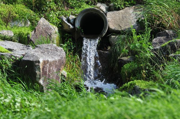 Cost of Water Redirection in Tarpon Springs