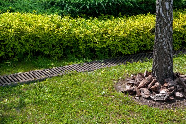 Cost of Residential Landscape Drainage in Tarpon Springs