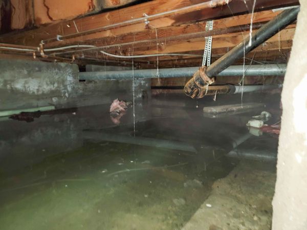 Cost of Crawlspace Drainage in Tarpon Springs