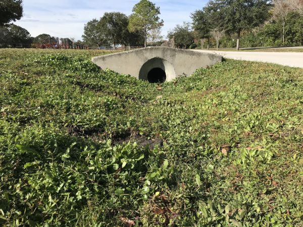 Cost of Swale Drainage Service in Tarpon Springs
